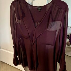 ARITZIA BABATON 100% silk deep purple long sleeve blouse (XS)